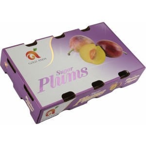 Top and bottom cover cardboard boxes for plums