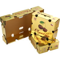 Machine folded opening cardboard boxes (2)